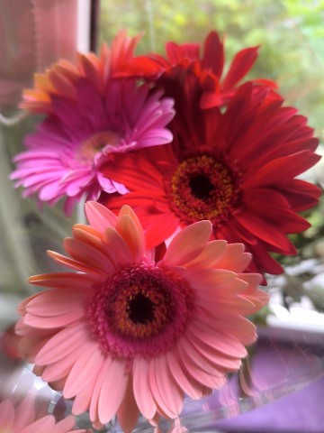 alinaoorlova в LOOKY. . Цветочки 💐💐💐 со д...