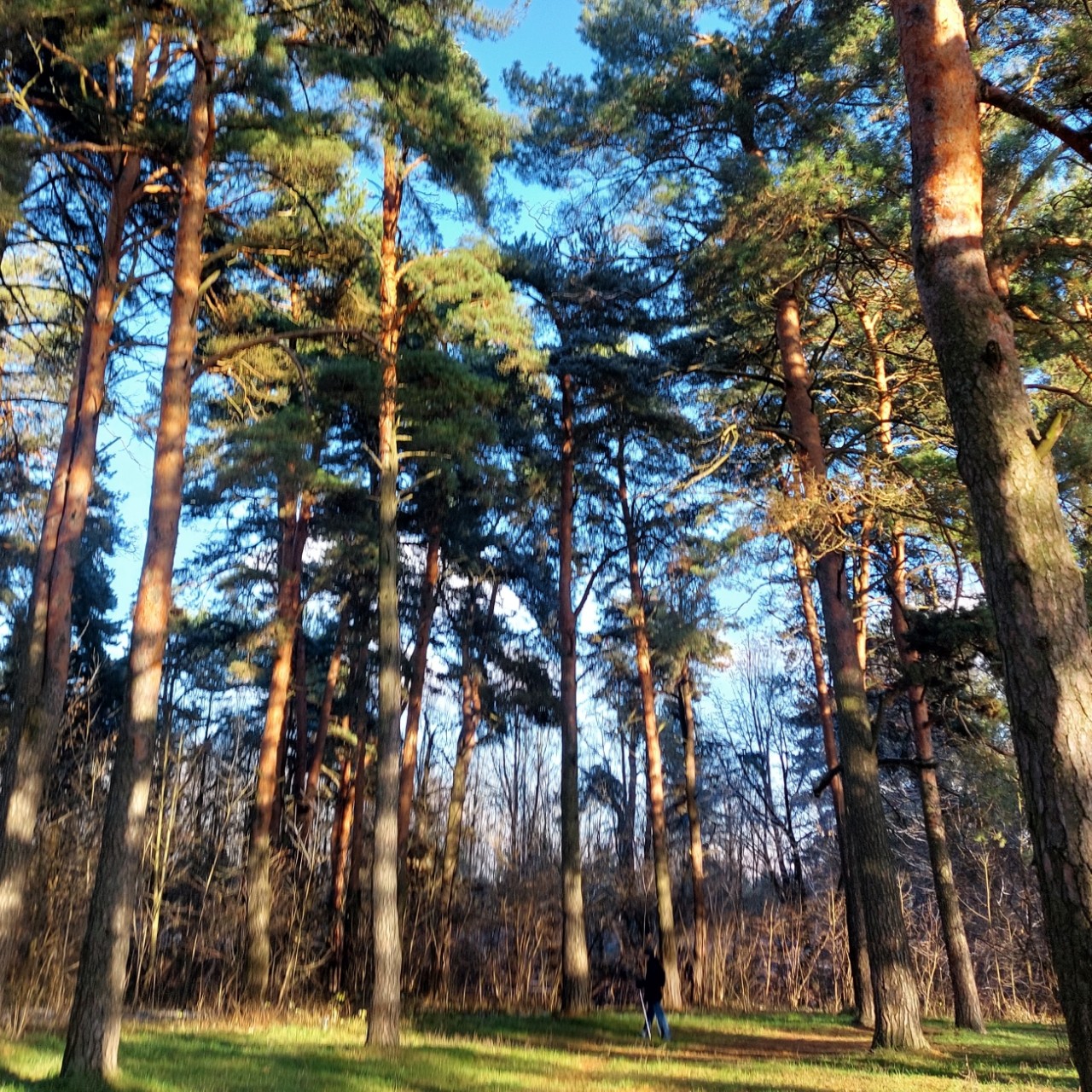 Галина Венн in LOOKY. . Увидела сегодня в Тв...