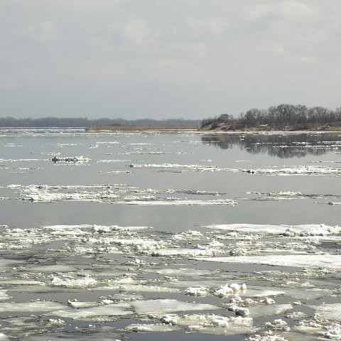 volga в LOOKY. #victorya_snow_sorbit,#волгарека,#ice,#волгаматушка,#ледоход,#ледидет,#вешниеводы,#половодье,#nature,#саратов,#красота,#зимушка,#saratov,#region64,#снежныйсорбит,#свобода,#volga,#russia,#рекироссии,#драйв,#волны,#волна,#полдень,#поволжье,#волгаволга,#волгарека,#волгаматушка,#нижняяволга,#виктория_снежный_сорбит,#виктория_сноу_сорбит,#снежныйсорбит,#средняяволга,#жара,#фото,#пейзажи,#фото,#фотик,#эмоция,#nature,#hobby,#work,#sunset,#water,#wild,#wave,#landscapes,#river,#volgariver,#волжане,#волгарь,#фотография,#небо,#красивоенебо,#позитив,#восторг,#тишьдагладь,#нашастрана,#саратов,#saratov,#набережнаясаратов,#виднаволгу,#закат,#назакате,#лед,#рекаволга,#sunset. Ph📷: #victorya_snow...