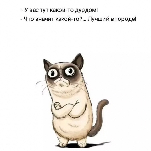 Sunsun в LOOKY. . 