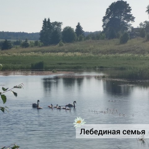 Looky_175177852485569 в LOOKY. . Как мило!