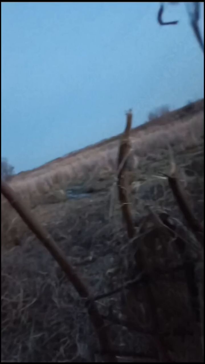 Виктор Образцов in LOOKY. #охота,#рыбалка#hunter#hunting. Нужно помнить #охота...