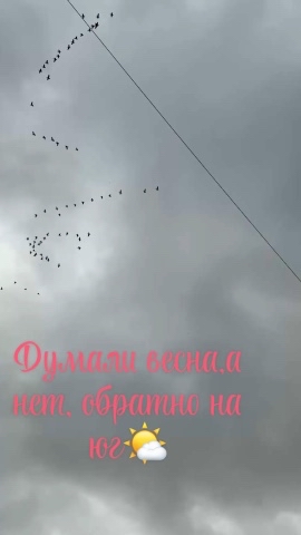 gumaix в LOOKY. . 