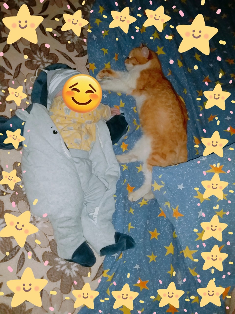 zar in LOOKY. #хвостатый_друг,#кот,#кошка,#коты,#кошки,#питомец,#питомцы,#зверек,#зверьки,#котик,#котики,#котя,#кошак,#кошаки. Встретились мы с Фил...