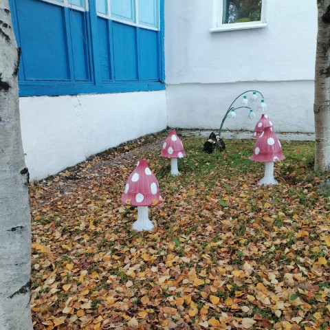 Vediima в LOOKY. . [#осень ](осень)[#ос...