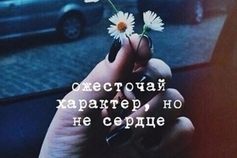 abatosova в LOOKY. . 