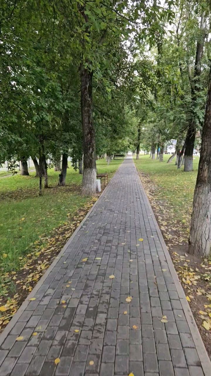 Life в LOOKY. . [#прогулка ](прогулк...