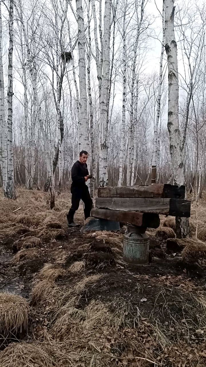 Юрий в LOOKY. . Тренировка в лесу
#з...