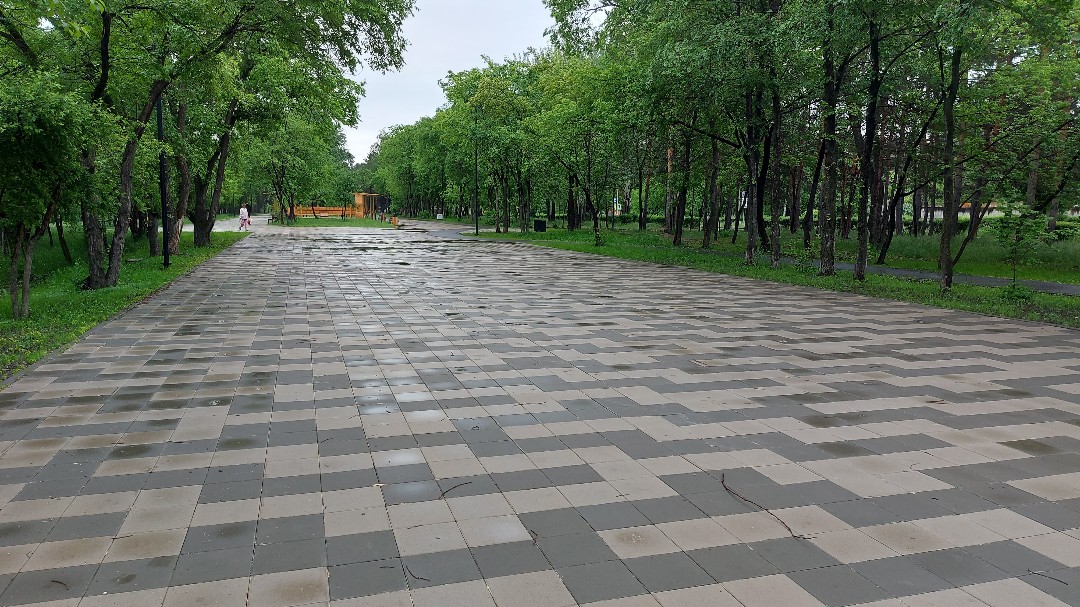 Июнь. Вечер после дождя