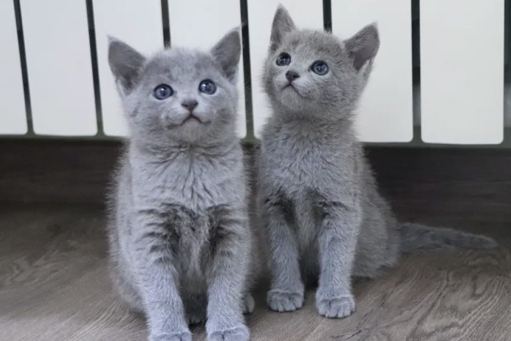 ♥️🥰