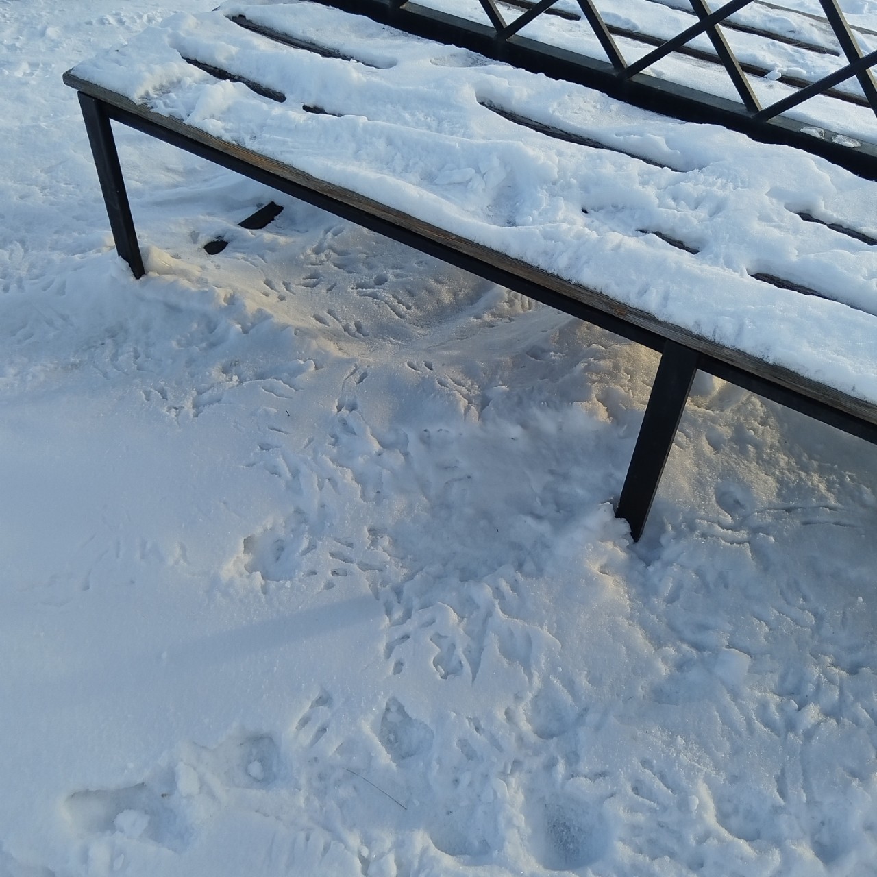 tati_konysova_dolls в LOOKY — фото 3