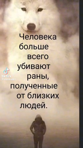 Алексей в LOOKY — публикация
