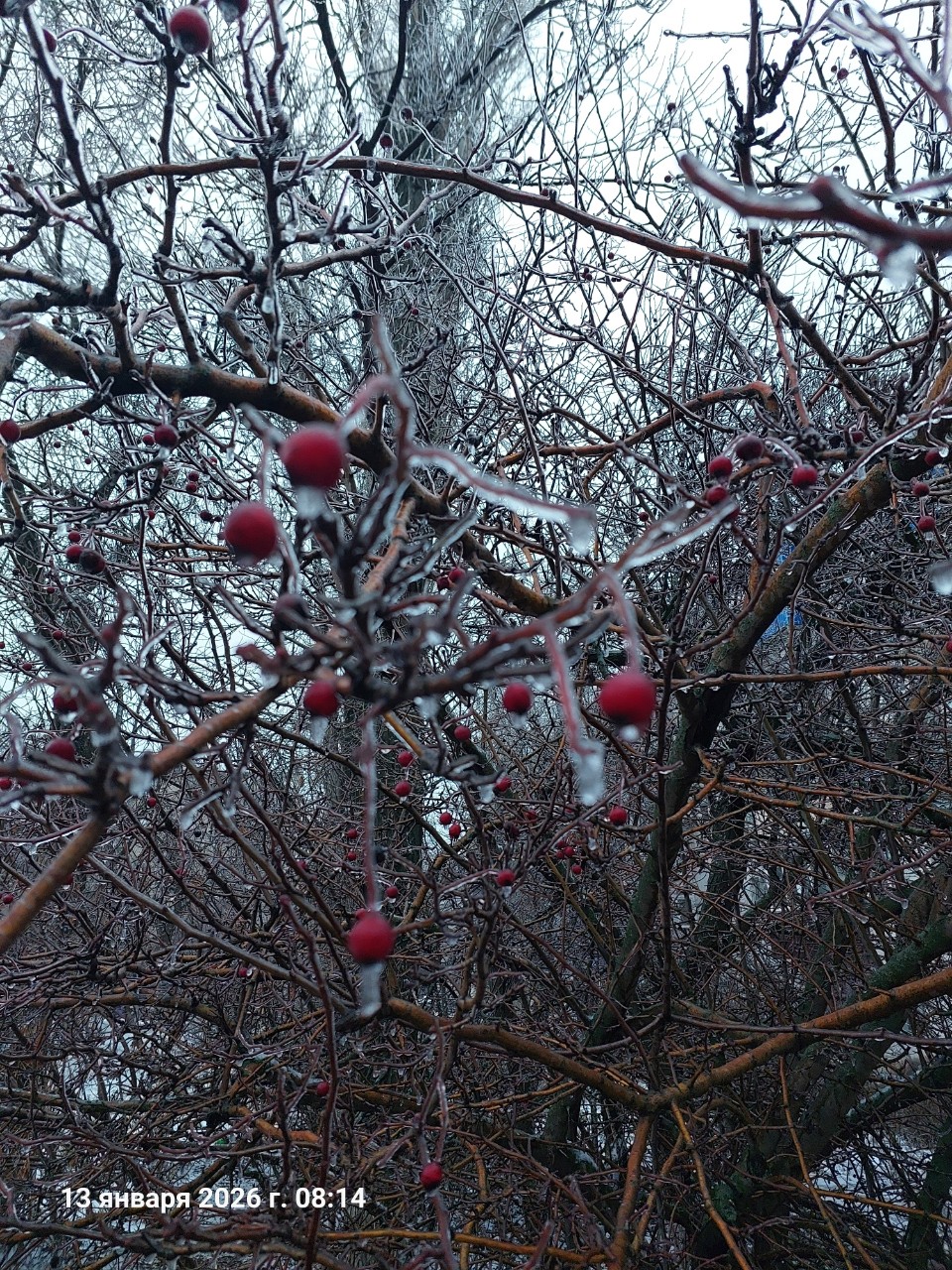 frost_anna в LOOKY — фото 1