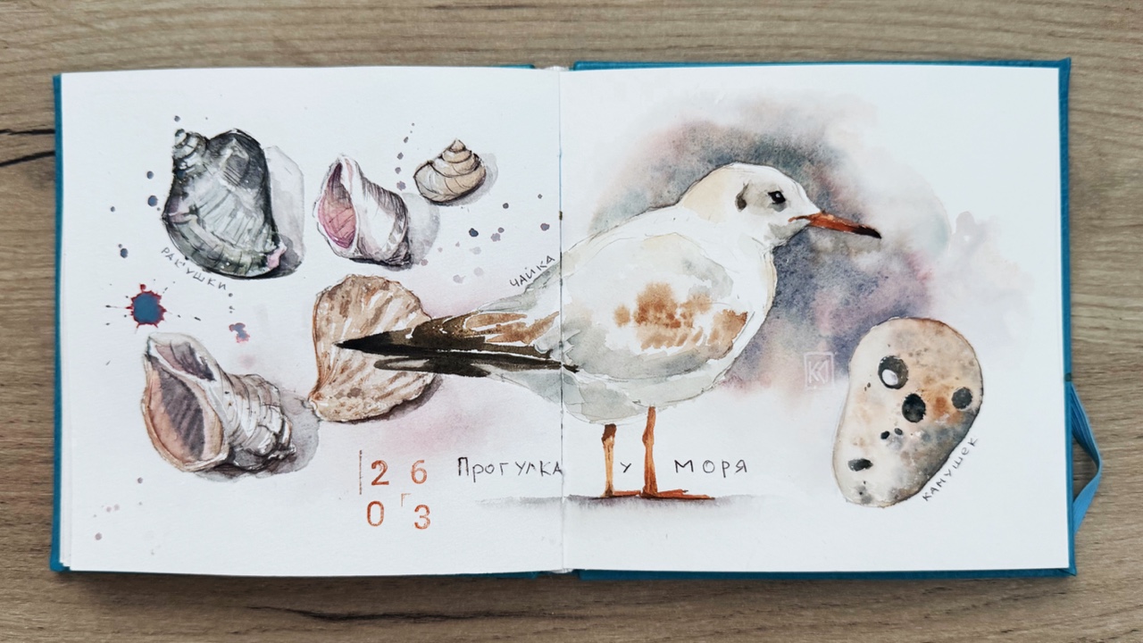 Акварельный разворот по следам прогулки по берегу моря. 

#акварель
#скетчинг 
#скетч #море #чайка #художник #рисую