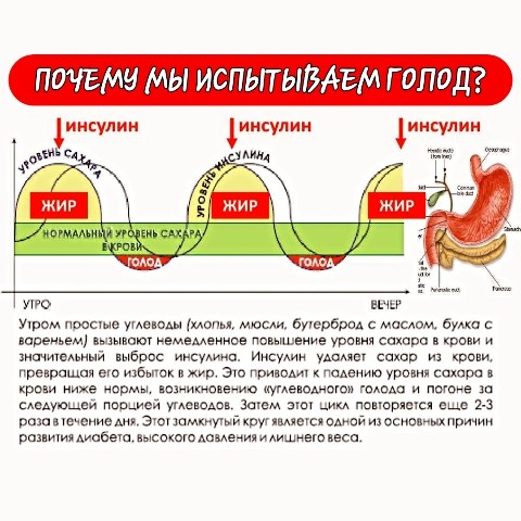 Looky_1687649985183 в LOOKY. #сахар,#Инсулин,#питание,#пп,#ЗОЖ,#похудение,#худею_онлайн,#пп_рецепты. Резкое повышение сах...