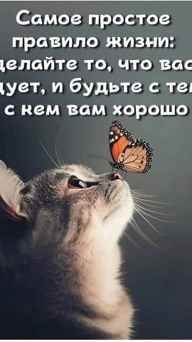 ledi_.oksana в LOOKY. . 