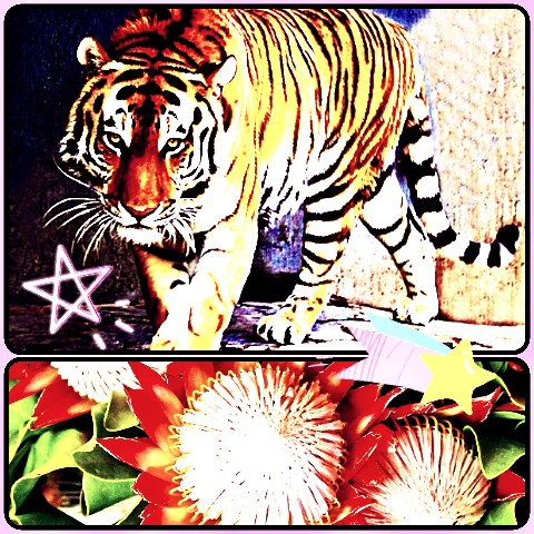 Looky_1678392850929 в LOOKY. . 