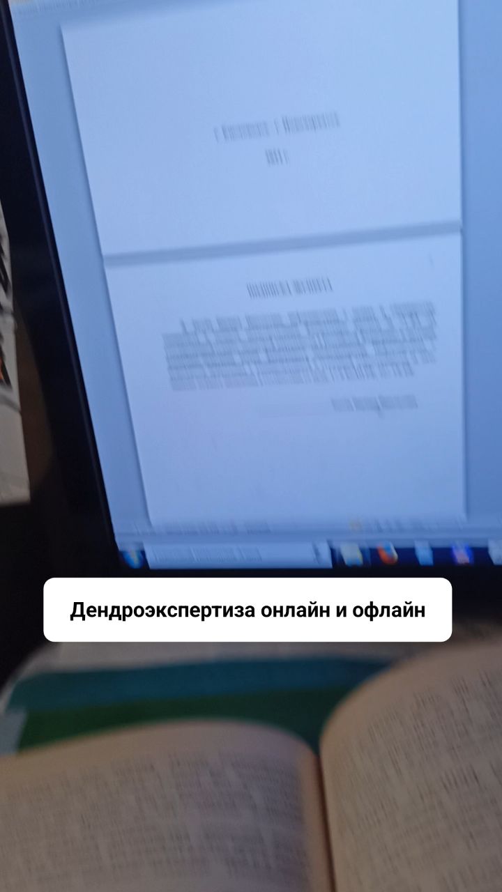 dendro_pro в LOOKY. #дендроэкспертиза,#дендролог,#деревоупалонамашину. Дерево упало на маши...