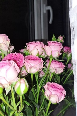 LubavaLooKY в LOOKY. . 🌸