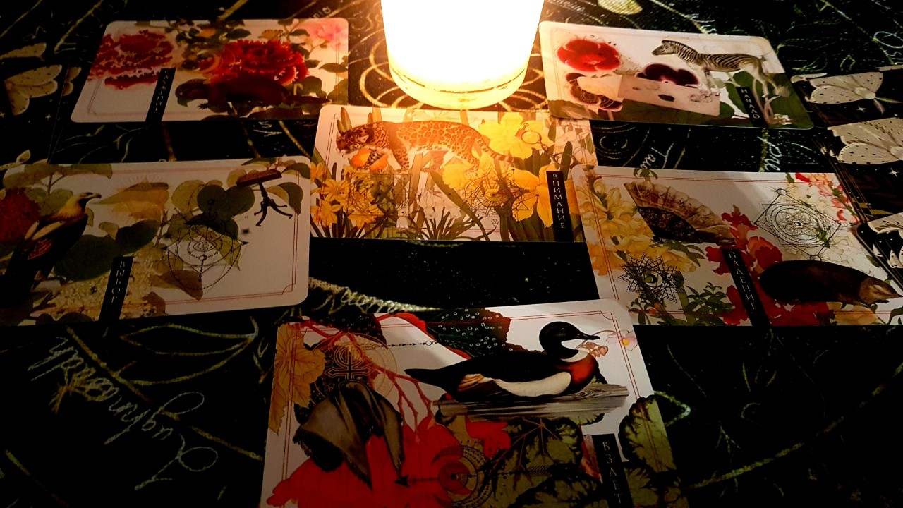 #таро #tarot #magic #ведьма #Wicca #викка