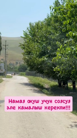 Баха в LOOKY — публикация