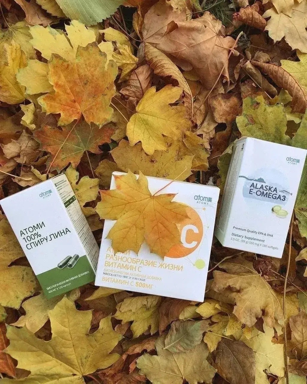nk_atomy в LOOKY — 🦔ОСЕНЬ…🍁🍂🍁

А значит пора подумать и позаботиться о своё