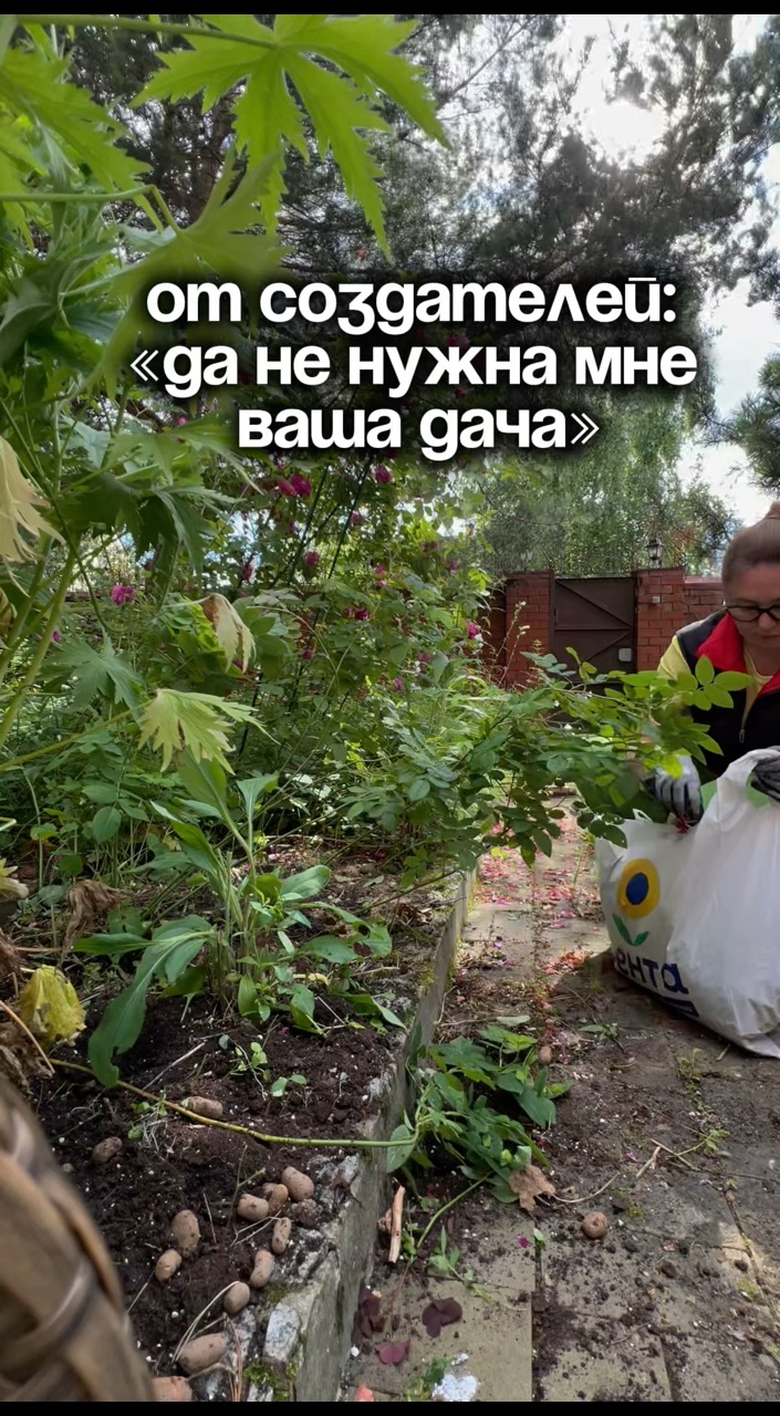 Ты не одинок у тебя есть я в LOOKY. . 