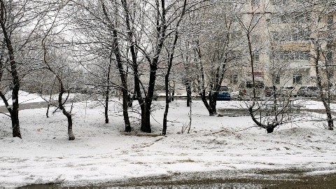 o_ryb в LOOKY. . 