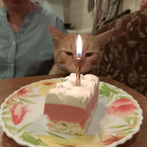 t.nushja в LOOKY. . С днем рождения меня...