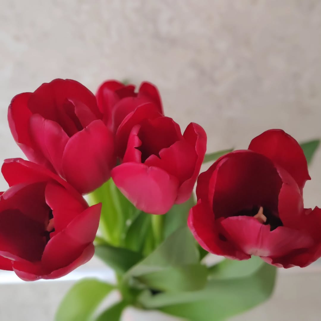 yanochka.funny в LOOKY. . 
