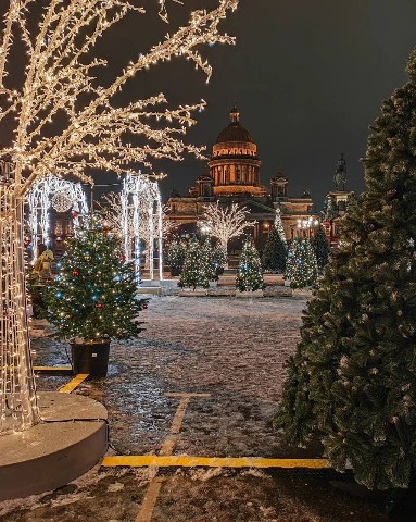Piter_life в LOOKY. #питер,#спб,#москва,#фото,#россия,#spb. Зимний сад, зимний с...