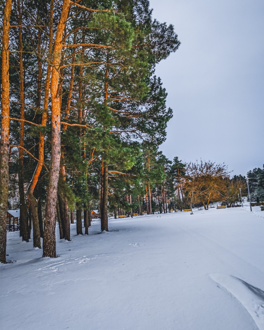 [#photo](photo) [#photography](photography) #photoonphone [#winter](winter) [#nature](nature) [#naturephotography](naturephotography) #snow