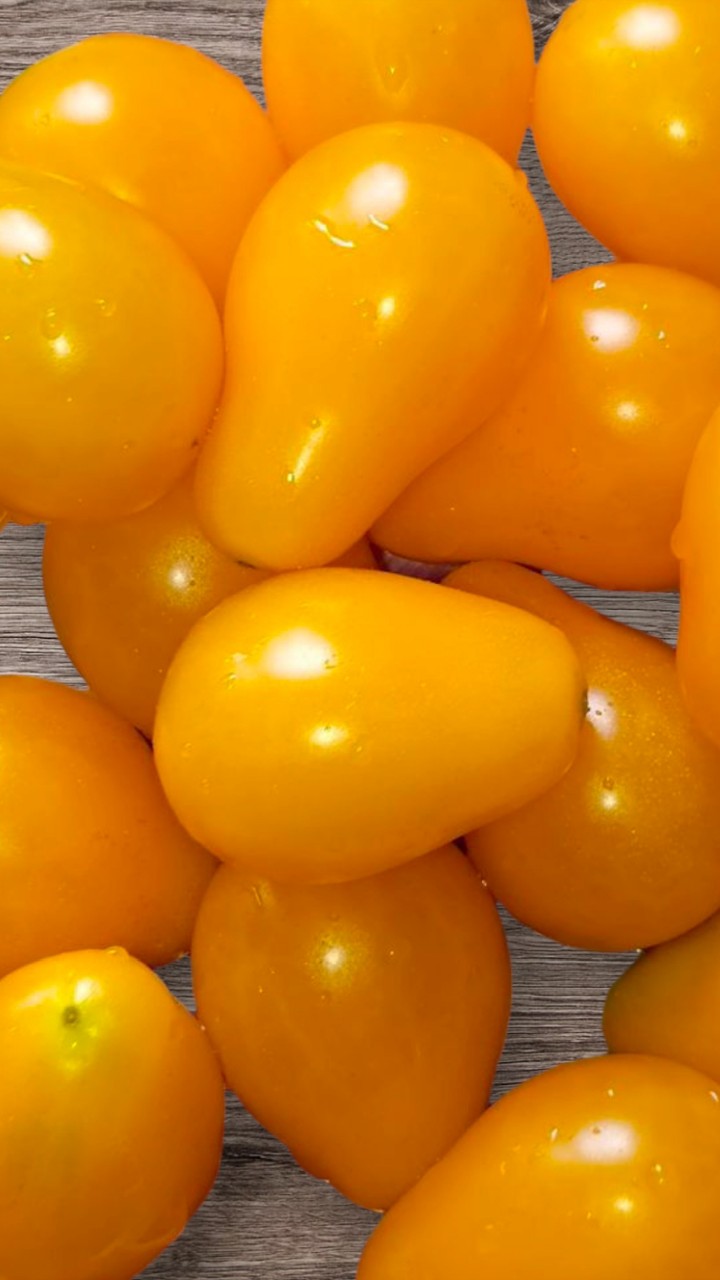 ### 🍯 **Медовая капля – сладкий урожай на вашем столе!** 🍅  

Этот томат покоряет с первого взгляда! Яркие, сочные, словно солнечные бусины, плоды обладают **насыщенным медовым вкусом**.  

🔸 **Среднеранний** (110-115 дней от всходов до первого урожая)  
🔸 **Индетерминантный** – в теплице вырастает выше 2 м  
🔸 **Кисти** по 15 и более плодов, массой **30-50 г**  
🔸 **Урожайность** – до **10 кг/м²**  
🔸 **Использование**: свежие салаты, консервация, гарниры  

✅ **Советы по выращиванию:**  
📌 Формировать в **1-2 стебля**, обязательно **удалять пасынки**  
📌 В средней полосе лучше выращивать **в теплице**  
📌 **Подвязка обязательна!**  

Этот томат – не просто вкусный, но и **очень декоративный**. В банках смотрится шикарно, особенно в сочетании с красными и зелеными сортами!  

Кто уже выращивал "Медовую каплю"? Делитесь впечатлениями в комментариях! ⬇️