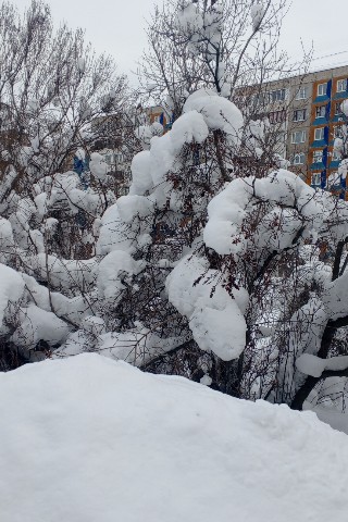 Б.ОКС в LOOKY. . Февраль,снежные обла...