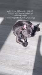 Roland в LOOKY. . Корм harly: 26383522...