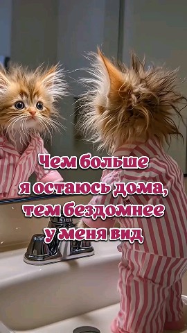 ВОЛК СЕРЫЙ в LOOKY — публикация