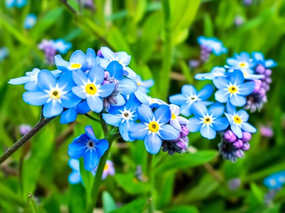 MicroGreens from Ladymari в LOOKY. . 🧚‍♀️ ДОБРО ПОЖАЛОВА...