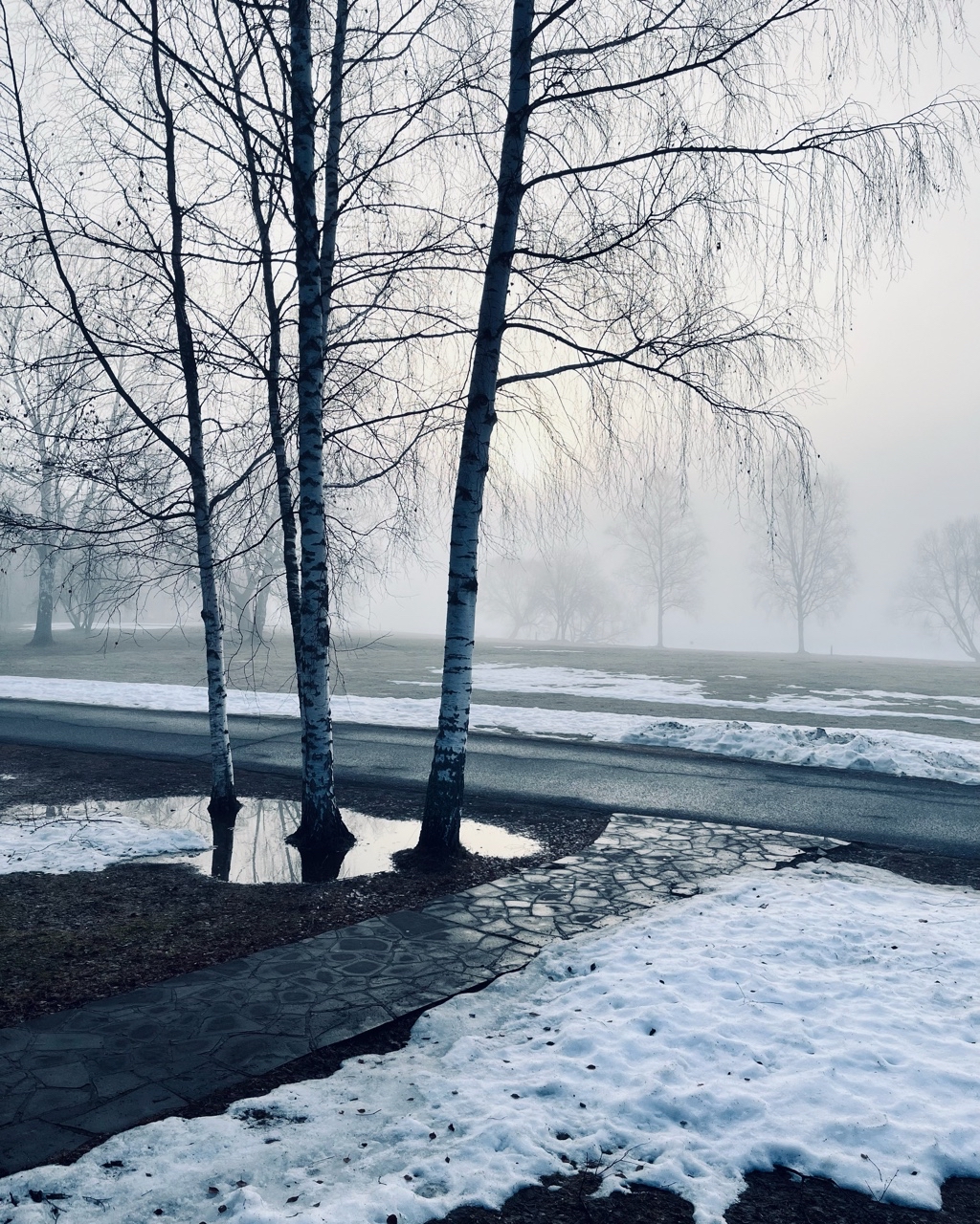oddtype в LOOKY — Утро на Волге