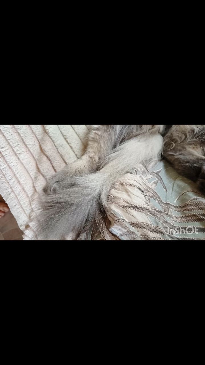 Ангел in LOOKY. . Спит .. Связи нету �...