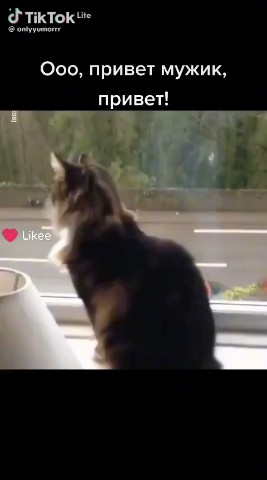 Рассветный Заяву в LOOKY — публикация