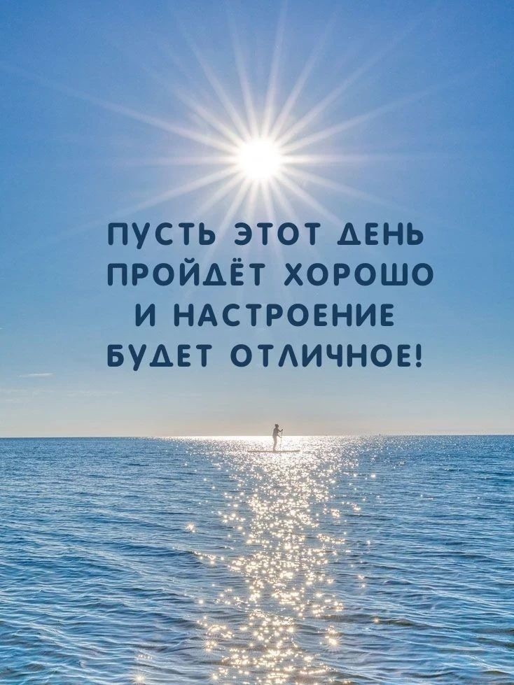 Волчонок в LOOKY — публикация