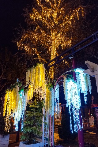 dom_y_baltiki в LOOKY. . Время каникул - врем...