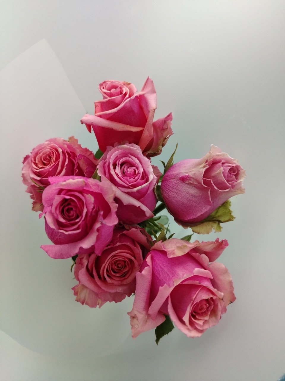 Looky_1705589832122