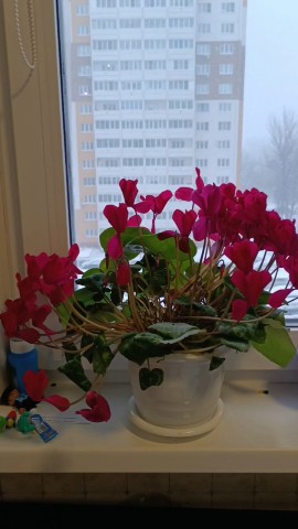 Оля в LOOKY. . Весна, весна и без в...