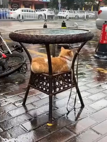Вячеслав Кузнецов в LOOKY — Хорошего вечера 🥰