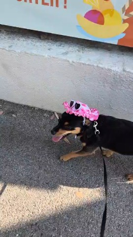 Калашникова Ирина в LOOKY — публикация