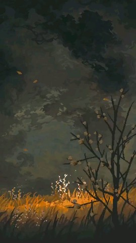 Kotik.love в LOOKY. . Топ)
