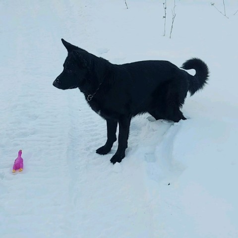 Анна_Крымская в LOOKY. . Отличная прогулка Зе...