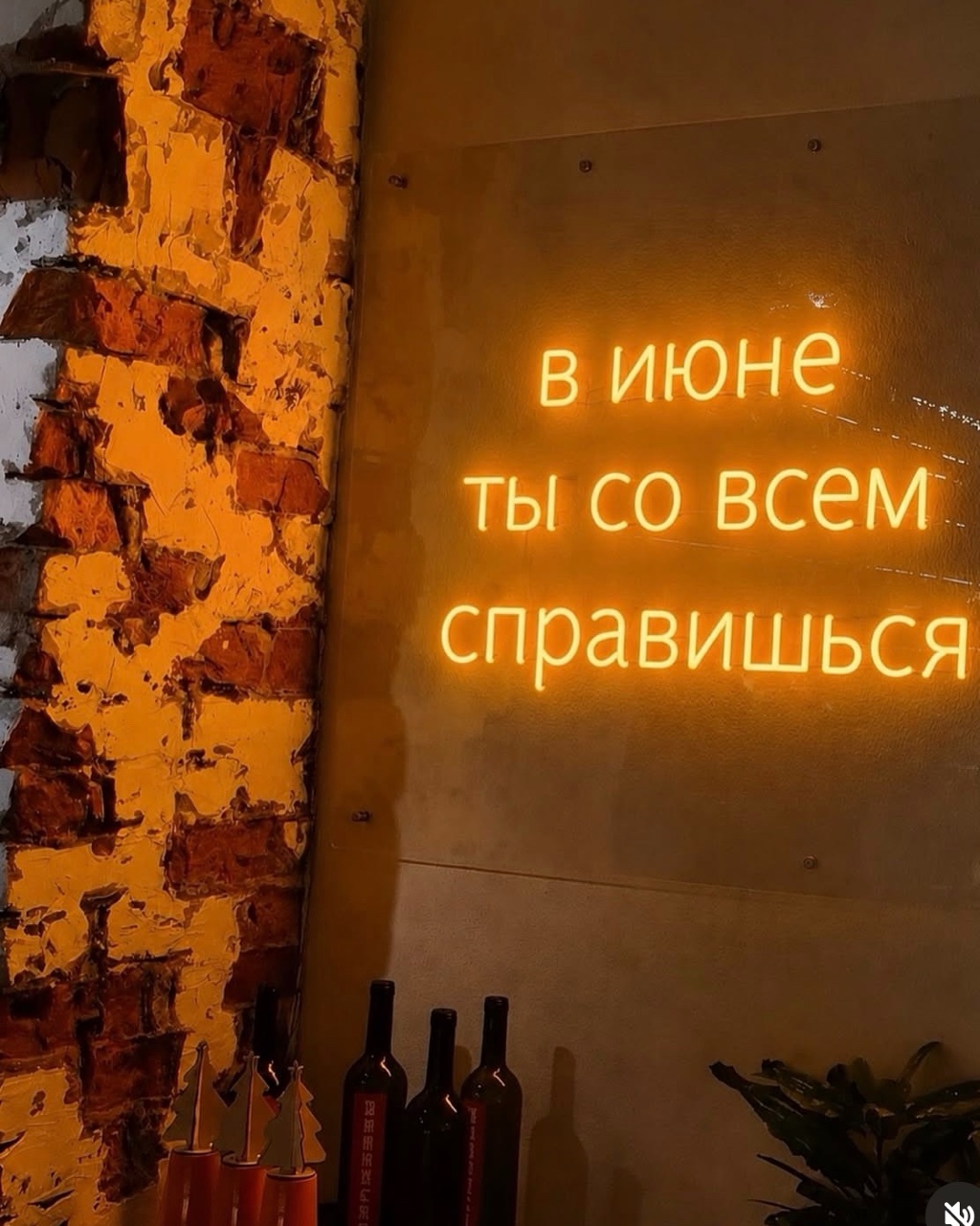 yulehkaa_s_._ в LOOKY. . [#looky ](looky)#топ