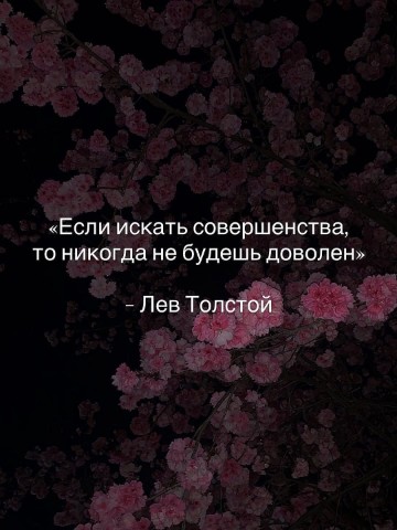 Welfare в LOOKY. . 